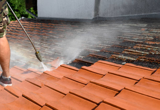 Best House Pressure Washing  in Moodys, OK